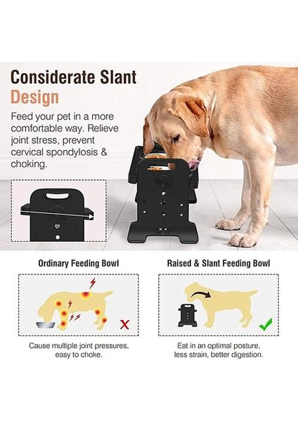 Kaymaz Yükseltilmiş Çift Köpek Kaseleri Ayarlanabilir Yükseklik Pet Besleme Çanak Besleyici | Köpek Beslemesi (Yurt Dışından) indirimleri