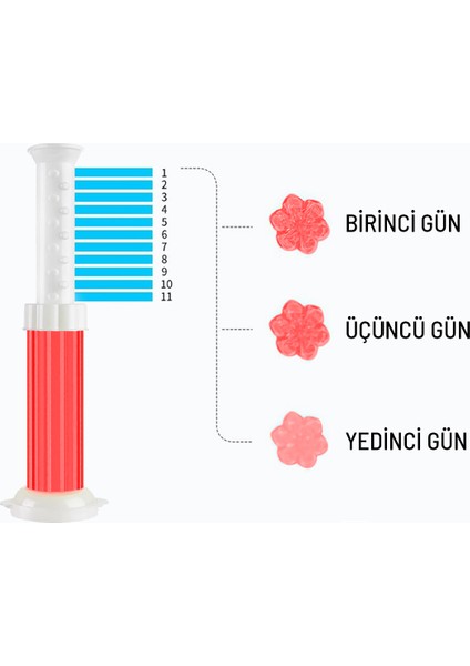 Tuvalet Temizleme Jeli Klozet Jel Blok Koku Giderici Desenli Klozet Jeli Kırmızı