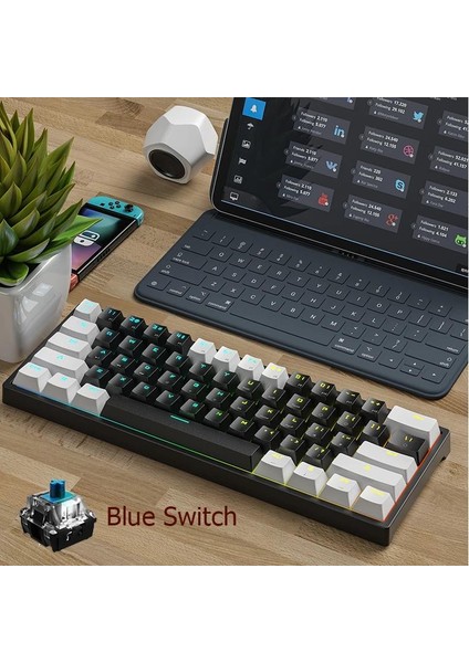 Leaven K620 Blue Switch Mekanik Gaming Oyun Klavyesi Rgb 61 Key Mavi Tuş Type-C Klavye Beyaz-Siyah