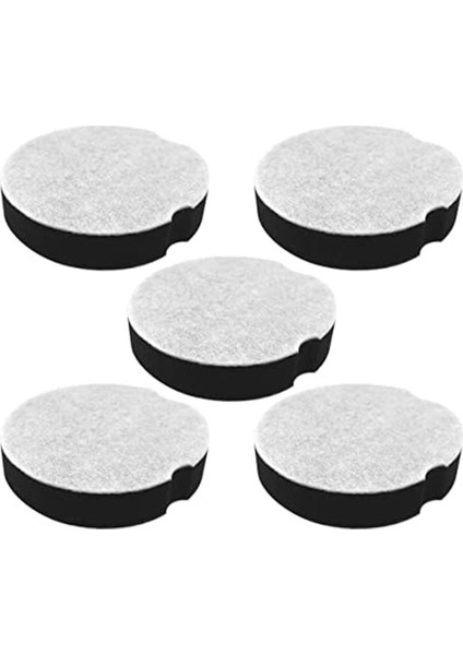 Powerforce Için 5 Paket Yedek Filtre, Parça 1604896 (Yurt Dışından)