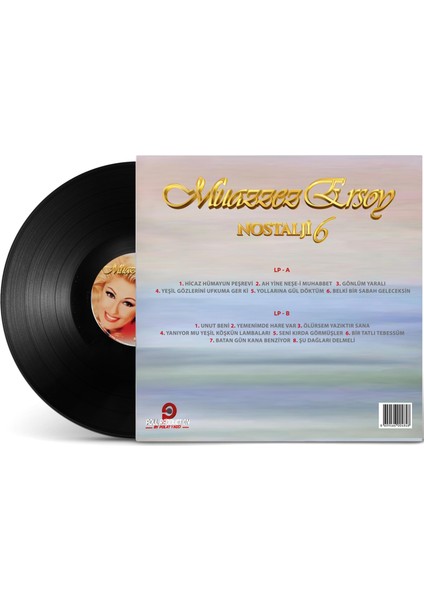 Muazzez Ersoy - Nostalji 6 - LP