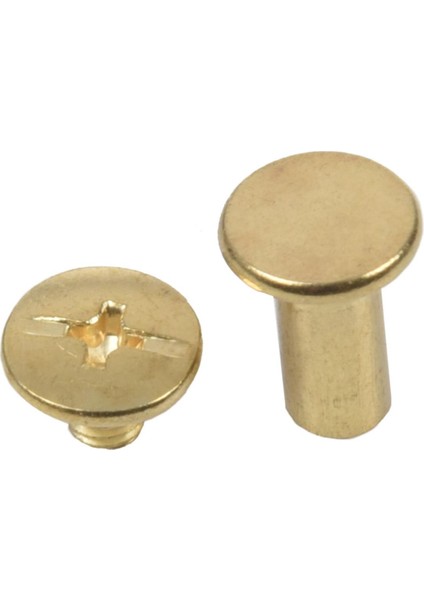 Quanbu Karalama Defteri Bağlama Vidası Sonrası 10MM 19 Adet Pirinç Ton (Yurt Dışından)