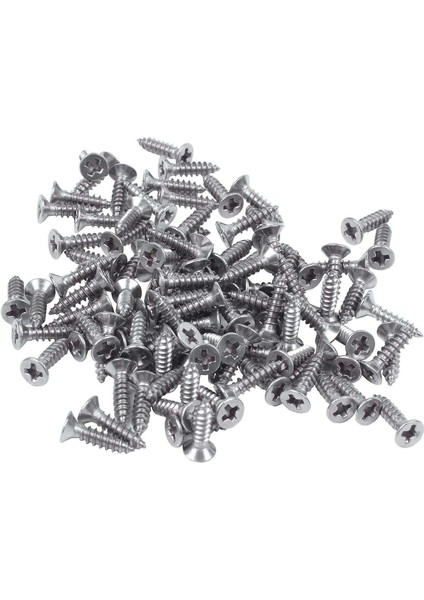 Takım Çile Mandalı Metal Çile Mandalı Kilit Pencere Dolabı Için Sürgülü Kapı Kilidi Montaj ve 100X Paslanmaz Çelik Düz Kafa Phillips Kendinden Vuran Vida 12X3MM Gümüş (Yurt Dışından) modelleri
