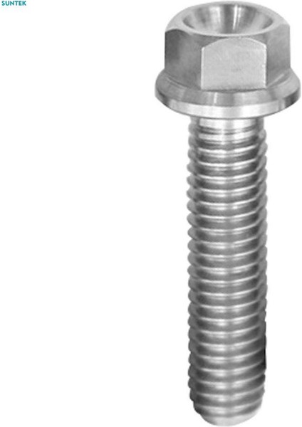 2xm6 Titanyum Altıgen Başlı Flanş Cıvata Bağlantı Elemanı M6 x 10-65 M6 x 25 (Yurt Dışından)