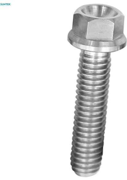 2xm6 Titanyum Altıgen Başlı Flanş Cıvata Bağlantı Elemanı M6 x 10-65 M6 x 25 (Yurt Dışından)
