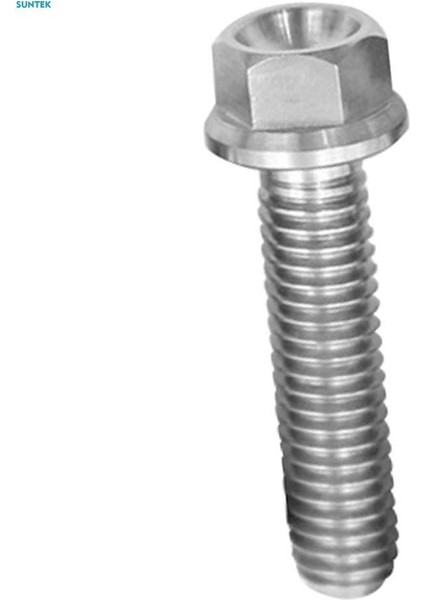 2xm6 Titanyum Altıgen Başlı Flanş Cıvata Bağlantı Elemanı M6 x 10-65 M6 x 25 (Yurt Dışından)