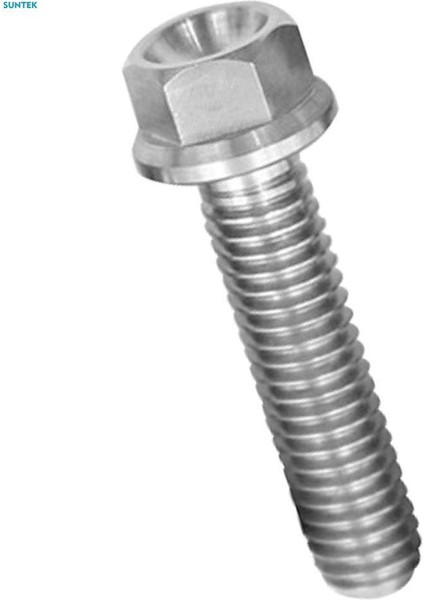 2xm6 Titanyum Altıgen Başlı Flanş Cıvata Bağlantı Elemanı M6 x 10-65 M6 x 25 (Yurt Dışından)