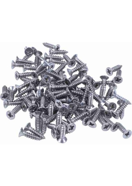 100X Paslanmaz Çelik Düz Kafalı Phllps Kendinden Kılavuzlu Vida 12X3MM Gümüş (Yurt Dışından)