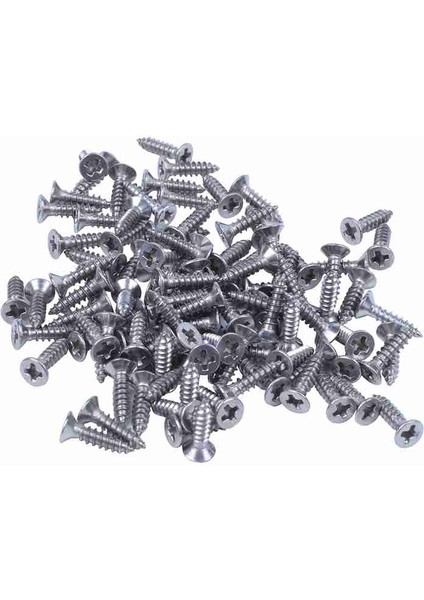 100X Paslanmaz Çelik Düz Kafalı Phllps Kendinden Kılavuzlu Vida 12X3MM Gümüş (Yurt Dışından) fiyatları