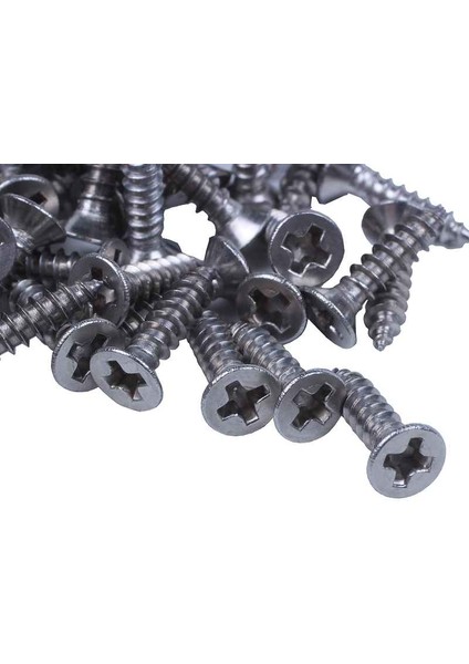 100X Paslanmaz Çelik Düz Kafalı Phllps Kendinden Kılavuzlu Vida 12X3MM Gümüş (Yurt Dışından) modelleri