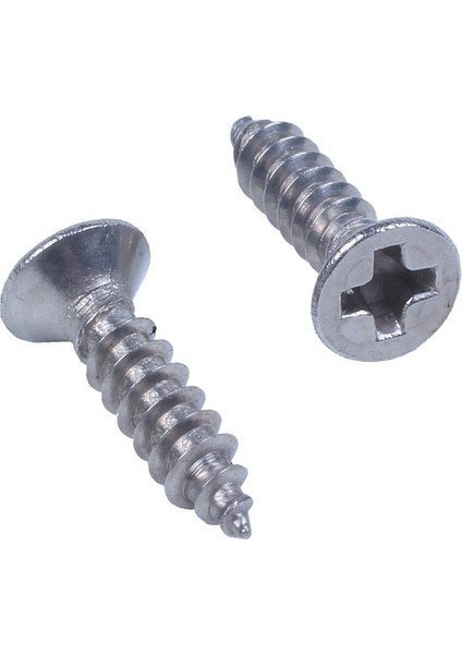 100X Paslanmaz Çelik Düz Kafalı Phllps Kendinden Kılavuzlu Vida 12X3MM Gümüş (Yurt Dışından) indirimleri