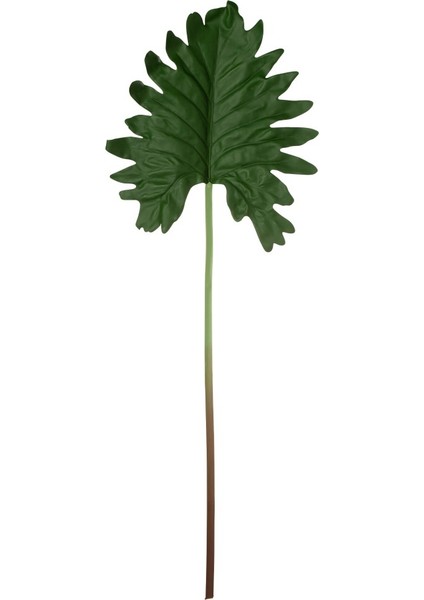 Leaf Yaprak