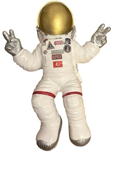Polyester Astronot