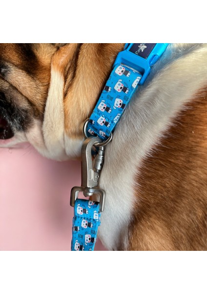 Pawlook, Köpek Gezdirme Tasması, Köpekgezdirme Kayışı, fiyatları