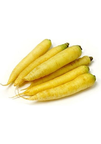 Eko Paket 50 Adet Tohum Nadir Ithal Sarı Havuç Tohumu