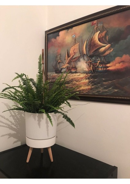 Fujer Aşk Merdiveni Askılı Saksıda fiyatları