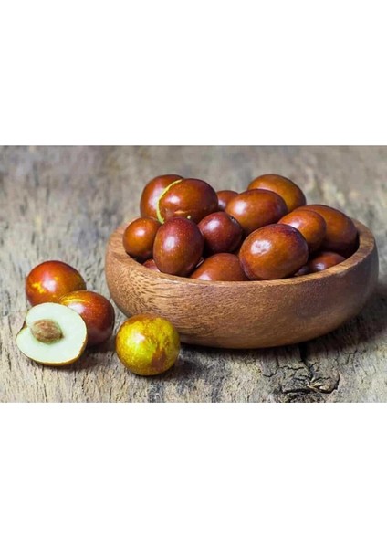 Hünnap Fidanı ( Iri Meyveli Tüplü ) 70- 90 cm Bol Verimli fiyatları