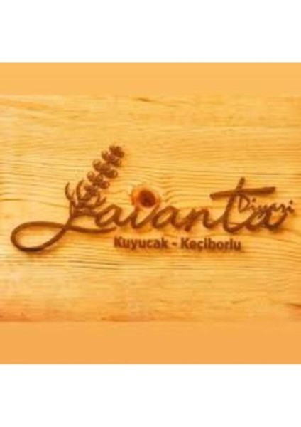 Köklenmiş Poşet Tüplü Lavanta Fidanı 1 Adet 15 - 25 cm Intermedia modelleri