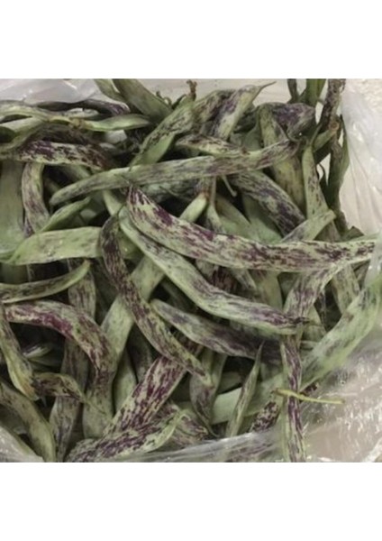 Meşhur Çilli Ayşe Fasulye Tohumu 10 Tohum Fasülye Tohumu fiyatları