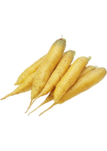 Nadir Ithal Sarı Havuç Tohumu 10 Adet Tohum