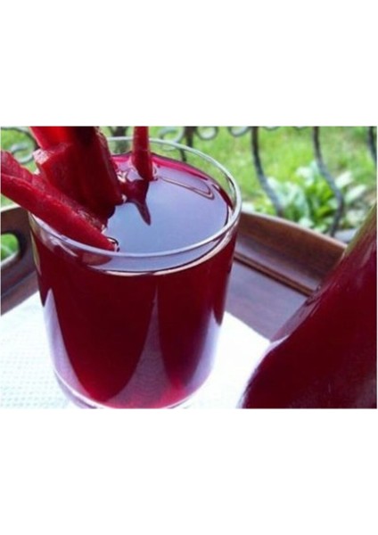 Nadir Ithal Mor Havuç Tohumu 100 Adet Tohum Şalgam Havucu modelleri