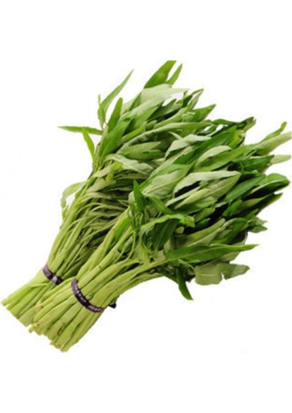 Nadir Ithal Çin Su Ispanağı Tohumu 20 Adet Tohum