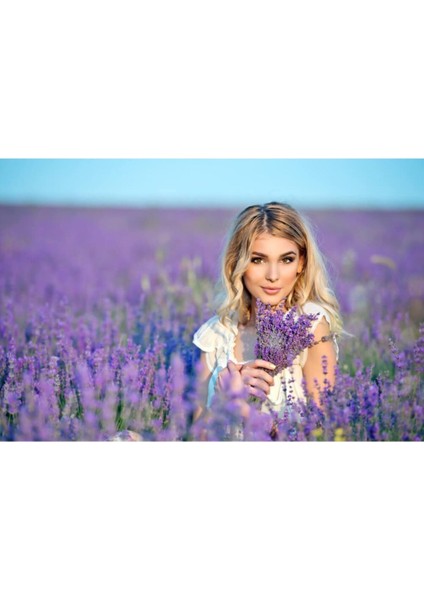 Bahçe Tipi Lavanta Fidanı 1 Adet 15-25 cm Intermedia fiyatları