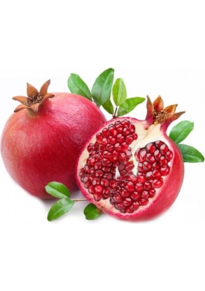 Nar Fidanı Devedişi 2-3 Yaş 80 cm Bol Verimli Soğuğa Dayanıklı modelleri