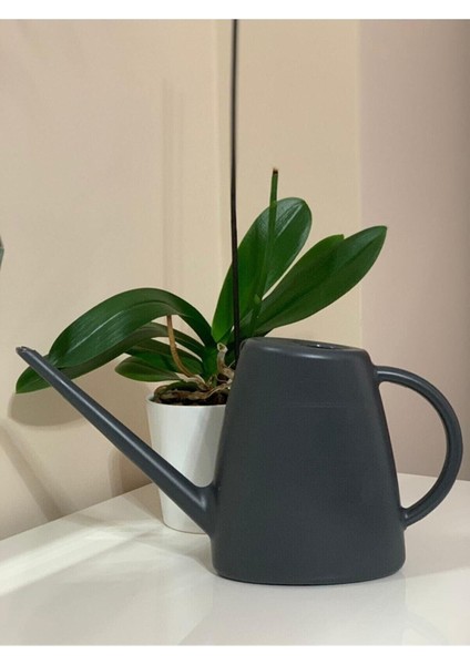 Antrasit Renk Plastik Çiçek Saksı Suluğu Sulama Kabı 1.7 Lt modelleri