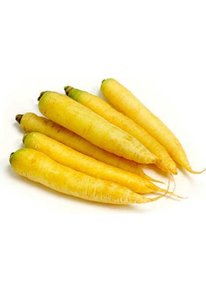 Süper Paket 100 Adet Tohum Nadir Ithal Sarı Havuç Tohumu