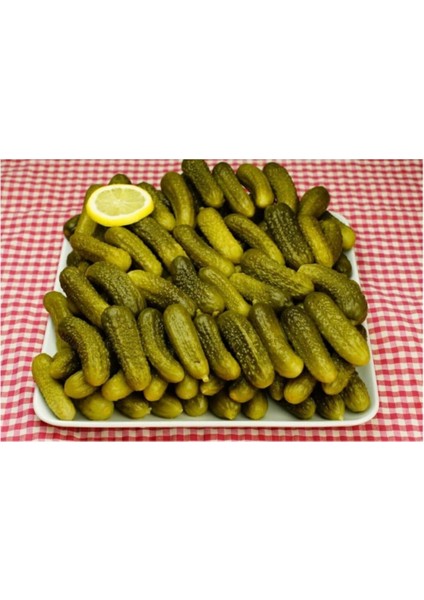 Kıtır Turşuluk Kornişon Salatalık Tohumu 10 Adet Tohum fiyatları