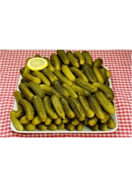 Kıtır Turşuluk Kornişon Salatalık Tohumu 10 Adet Tohum indirimleri