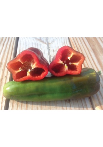 Tatlı Iri Marconi Biber Tohumu 15 Adet Tohum fırsatları