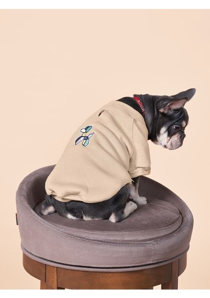 Nakış baskılı küçük ırk köpek sweatshirt, Balloon köpek kıyafeti indirimleri