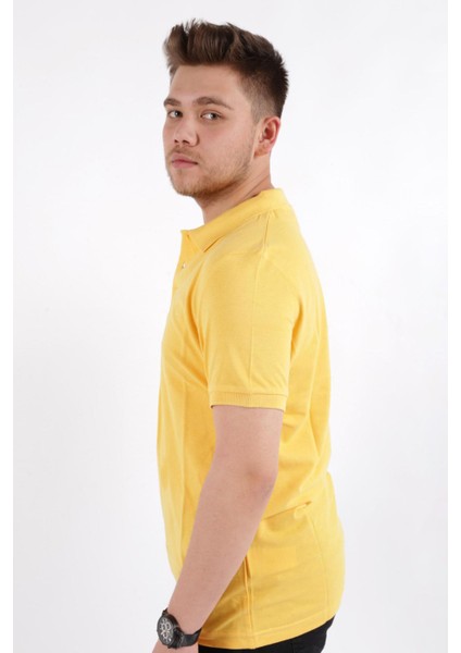 4613 Erkek Polo Yaka T-Shirt fiyatları