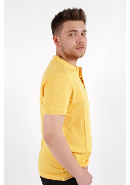 4613 Erkek Polo Yaka T-Shirt modelleri
