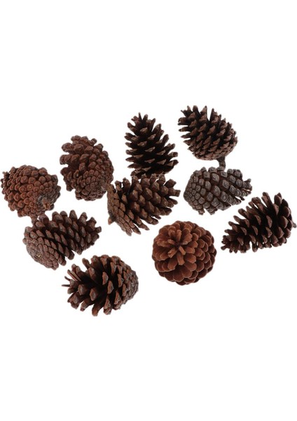 10 Dekoratif Dekorasyonu Kase Dolgusu El Sanatları ve Retro A 6-8cm Üntüler (Yurt Dışından)