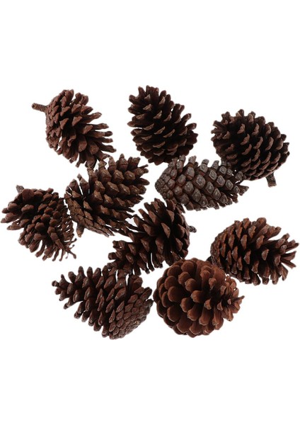 10 Dekoratif Dekorasyonu Kase Dolgusu El Sanatları ve Retro A 6-8cm Üntüler (Yurt Dışından)