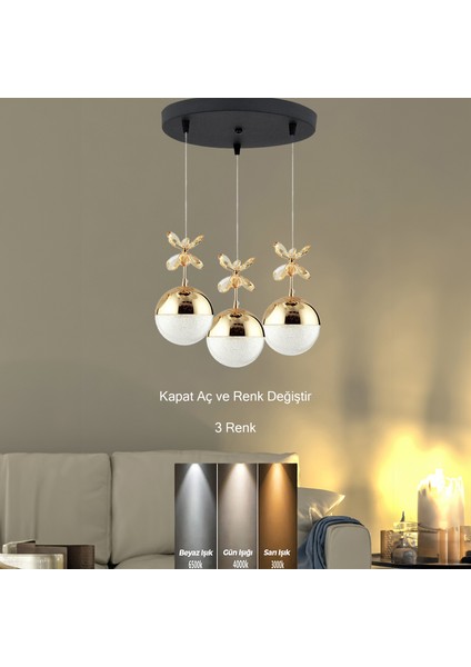 Supply Home 3'lü Modern Sarkıt 3 Renk Toplu LED Avize