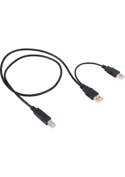 Yazıcı ve Tarayıcı Için Çift USB 2.0 Erkek - Standart B Erkek Y Kablosu 80CM (Yurt Dışından)