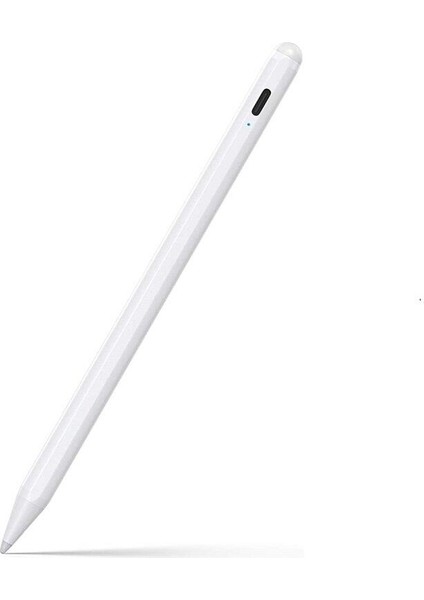 Manyetik Şarjlı Avuç Içi Reddetme iPad Stylus Kalem iPad Tablet Dokunmatik Kalem Kapasitif Kalem