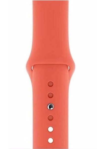 Apple Watch Seri 1/2/3/4/5/6/7/8/se/ultra 38MM 40MM 41MM Kordon Kayış Bileklik Klasik Silikon Somon