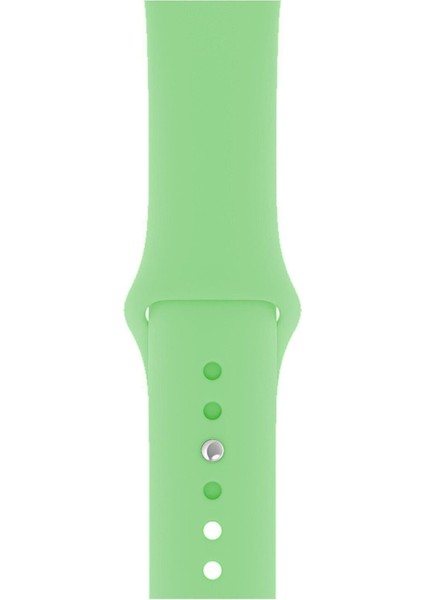 Apple Watch Seri 1/2/3/4/5/6/7/8/se/ultra 38MM 40MM 41MM Kordon Kayış Bileklik Klasik Silikon Yeşil