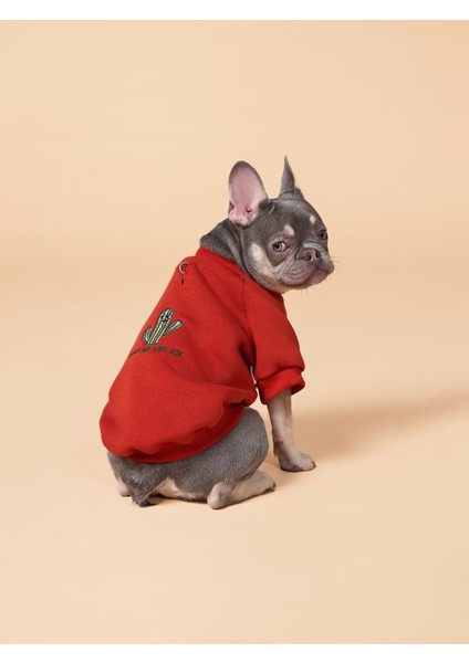 Köpek kıyafeti, Köpek Sweatshirt Küçük ve Orta Irk Köpek Kıyafeti 0-15kg