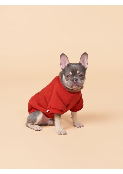 Köpek kıyafeti, Köpek Sweatshirt Küçük ve Orta Irk Köpek Kıyafeti 0-15kg