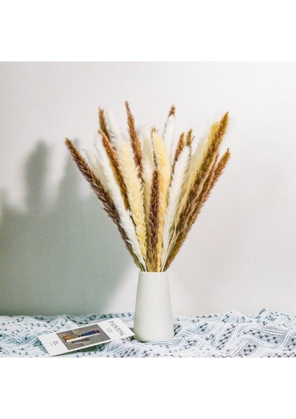70 Adet Kamış Çim Pampas Doğal Kurutulmuş Pampas Çim Buketleri Çiçek Aranjmanı Ev Dekor Düğün Boho Dekor (Yurt Dışından) modelleri