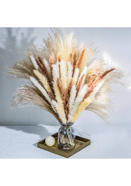 70 Adet Kamış Çim Pampas Doğal Kurutulmuş Pampas Çim Buketleri Çiçek Aranjmanı Ev Dekor Düğün Boho Dekor (Yurt Dışından) fırsatları