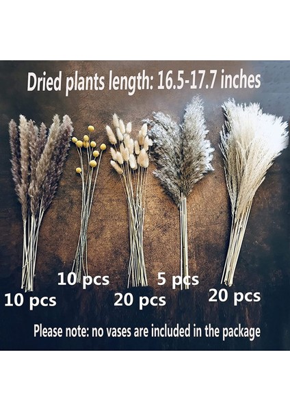 65 Adet, 17.3 Inç Pampas Çim Bitkileri Mutfak Yard Ev Dekorasyonu Için, Pampas Çim Düğün Çiçek Aranjmanları Için (Yurt Dışından) modelleri
