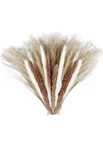 60 Adet Doğal Kurutulmuş Pampas Çim, Kurutulmuş Görkemli Çim, 3 Çeşit, Çiçek Aranjmanları Düğün Boho Ev Dekor Için (Yurt Dışından)