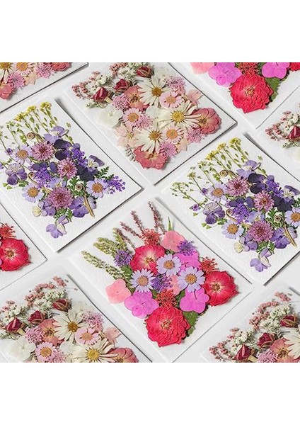 3 Paket Kurutulmuş Preslenmiş Çiçekler, El Sanatları Için Doğal Renkli Preslenmiş Çiçekler Gerçek Kuru Çiçekler Yaprak Seti Kurutulmuş Çiçekler (Yurt Dışından)